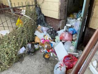 В Шымкенте тарифы на вывоз мусора повысят вдвое