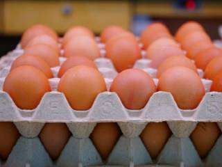 В Шымкенте ветконтроль не разрешал ввоз 200 тысяч инкубационных яйц