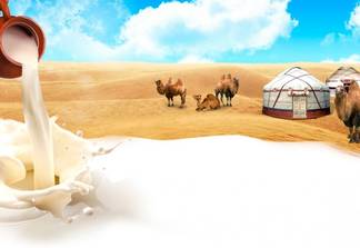 В Туркестане ведется строительство завода по выпуску верблюжьего молока