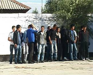 11 иностранцев незаконно работали в ТОО Шымкента
