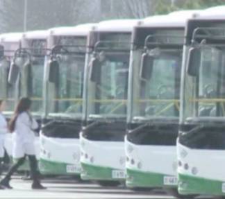 Green Bus: 2 года на рынке пассажирских перевозок