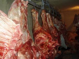 В Шымкенте участились случаи реализации потенциально опасного мяса