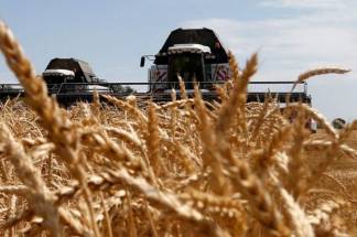 Акмолинские чиновники дали прогноз на будущий урожай