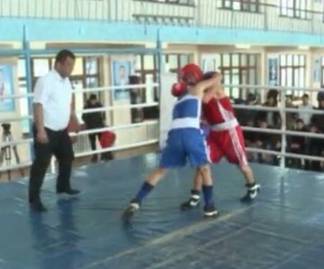 В Шымкенте стартовало областное первенство по боксу