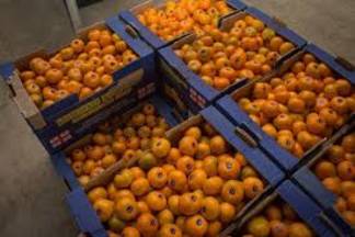 Сообщения о зараженных мандаринах прокомментировали казахстанские санврачи