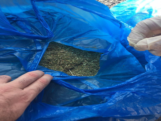60 кг марихуаны обнаружили в багажнике полицейские Туркестанской области