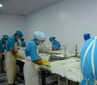 Рыбная продукция Южного Казахстана востребована в Дании и Голландии