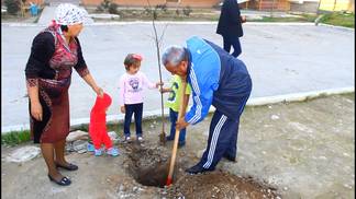 В рамках акции «Шымкент — город-сад» были посажены 600 фруктовых деревьев