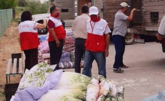 Более 6 тыс. человек получили помощь в зоне наводнения в Туркестанской области