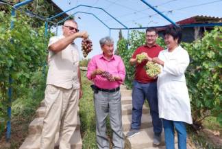 Если учиться виноградарству, то у Шынтасова