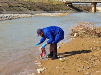 Готовы анализы рыбы, которая погибла в реке Бадам в Шымкенте