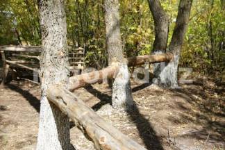 Гвоздем веревочного парка в Уральске стали искалеченные деревья