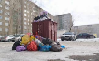 Из-за спора чиновников и частника Павлодар утопает в мусоре