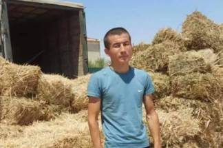 Шымкентец в миг стал героем соцсетей, обратившись к казахстанцам с призывом заготовить сено для Западного Казахстана