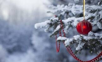 Морозная погода ожидается на Рождество в Казахстане