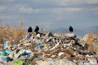 Жители пригорода Уральска требуют закрыть мусорную свалку