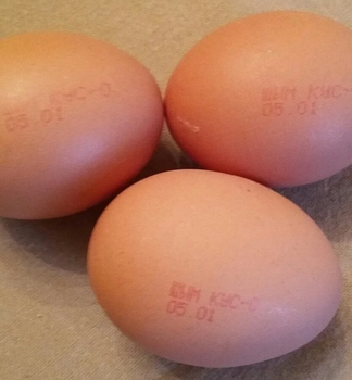 Яйца «из будущего» обнаружили в Шымкенте