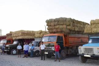 Неравнодушные жители и волонтеры Туркестанской области продолжают оказывать помощь аграриям западных регионов