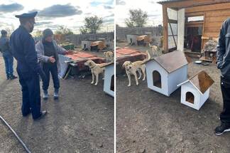 Осужденный экибастузец строит дома для собак