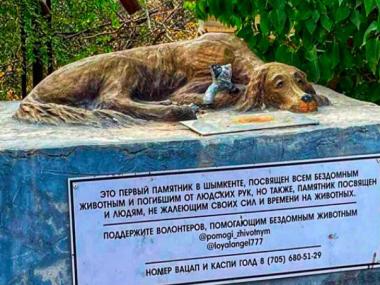 Памятник бездомным животным появился в Шымкенте