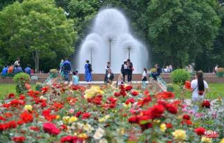 В Шымкенте готовятся к подключению фонтанов