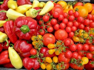 Россия ограничивает поставки томатов и перцев из Казахстана