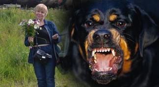 В Шымкенте собака насмерть загрызла женщину