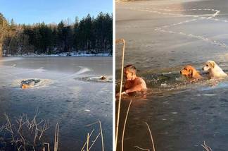 Уроженец Казахстана спас в США двух собак, провалившихся под лед, и стал героем