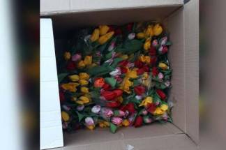 Триста тюльпанов похитил мужчина из цветочного магазина в Кокшетау