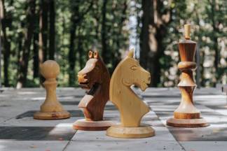 В Шымкенте «Шахматный конь» появился в «Центральном парке»