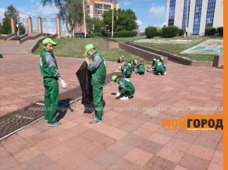 В этом сезоне около 1 200 западноказахстанских студентов вольются в «зеленые» бригады
