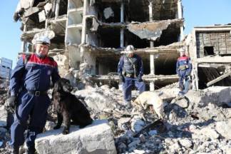 В Караганде за допуск к поисково-спасательным операциям боролись… собаки