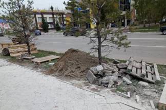 В Петропавловске в ходе благоустройства завалили брусчаткой деревья